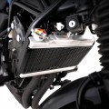 R&G Racing Pro Radiator Guard for the Honda CMX Rebel 500 '17-23 R&G Racing Pro Radiator Guard for the Honda CMX Rebel 500 '17-23